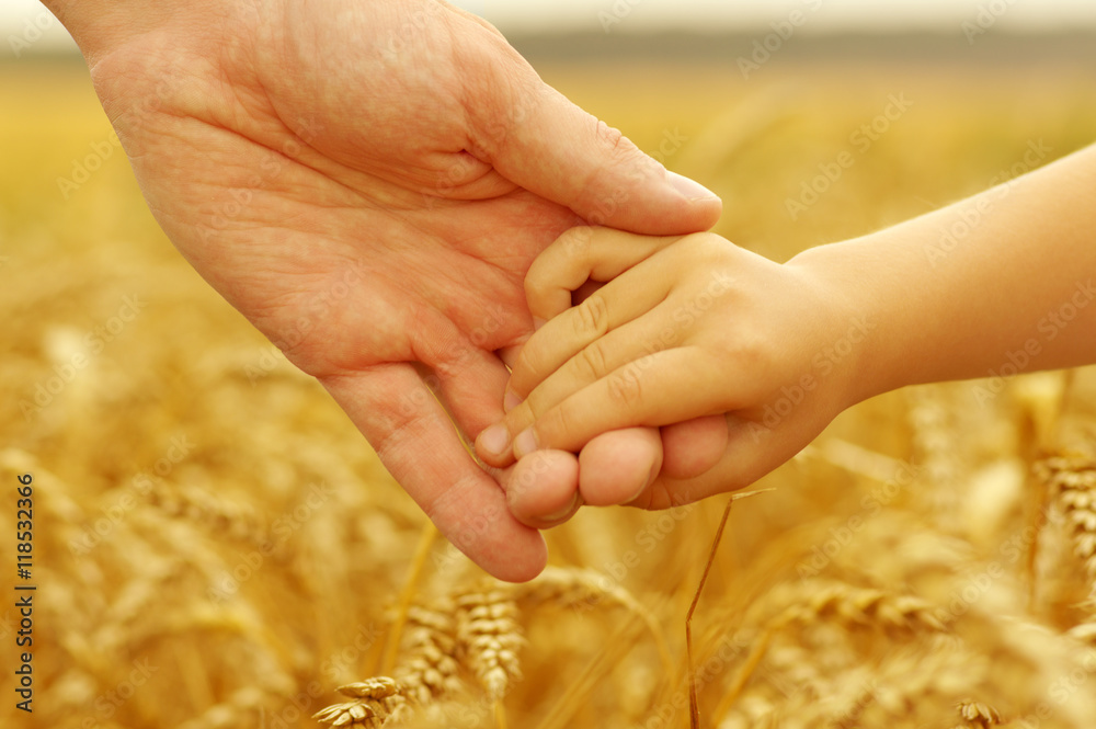 Hands of father and daughter