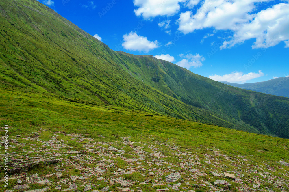 夏日山景