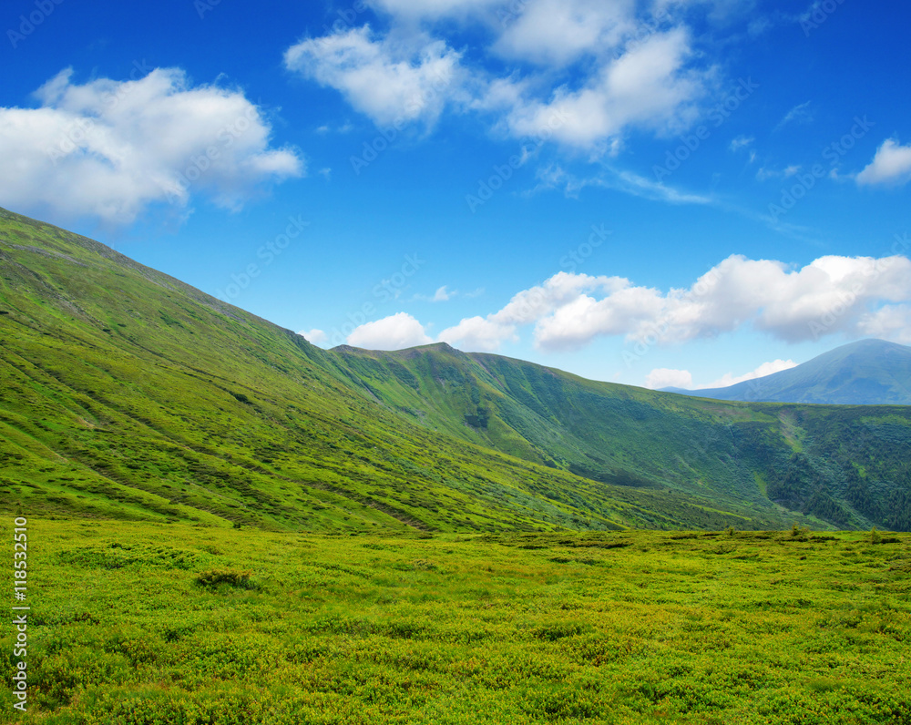 Mountain landscape in the summer