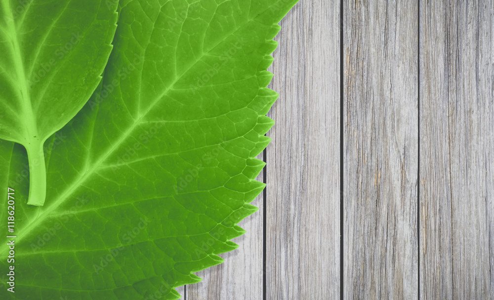 Green leaves on outdoor wood floor background