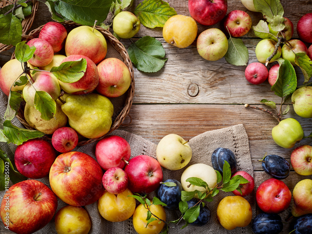 various fresh fruits