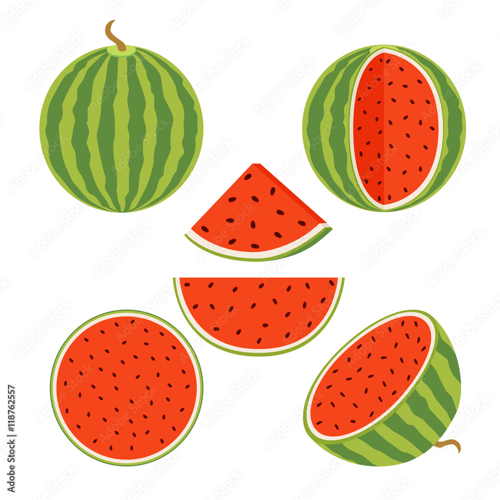 Set of juicy whole watermelons and slices in flat vector style.