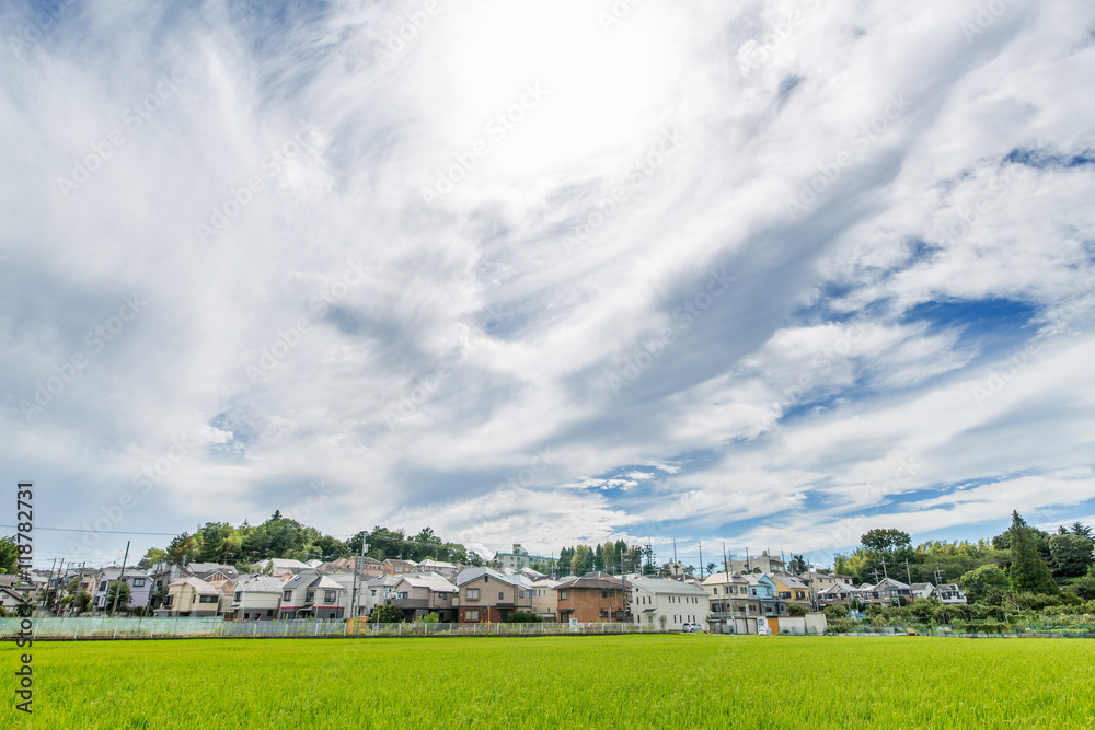 田園風景