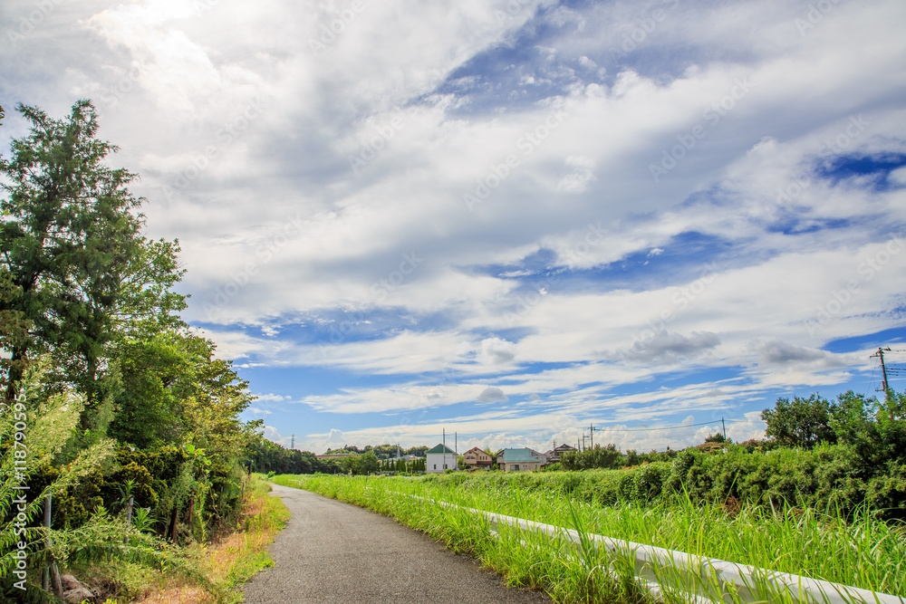 田園風景