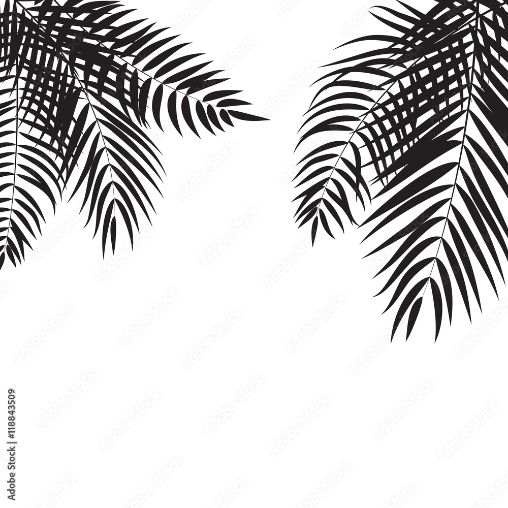 Beautifil Palm Tree Leaf  Silhouette Background Vector Illustrat