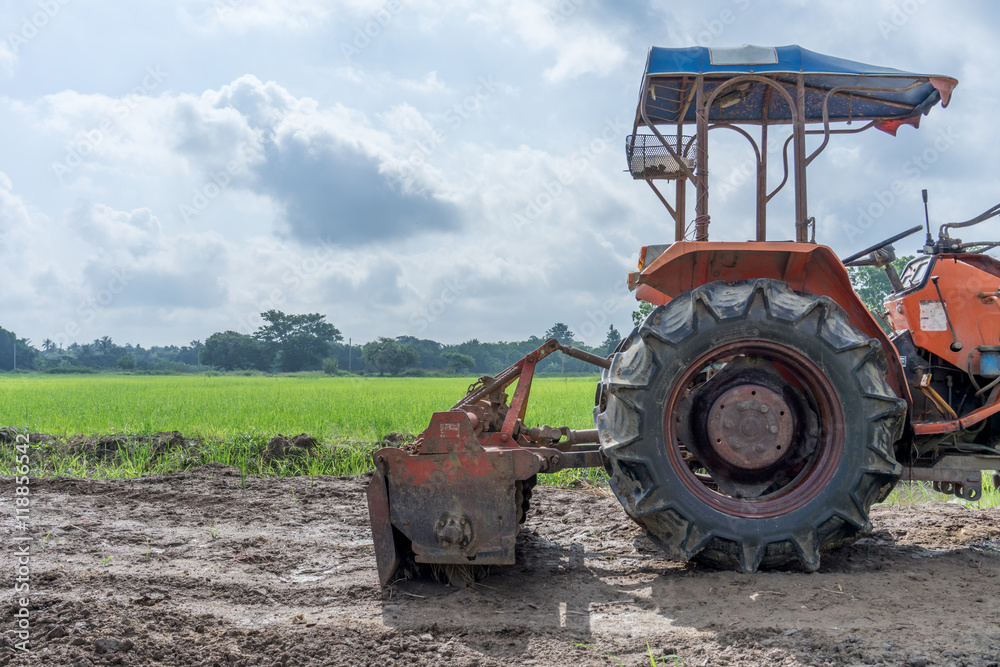 Tractor in a rice field