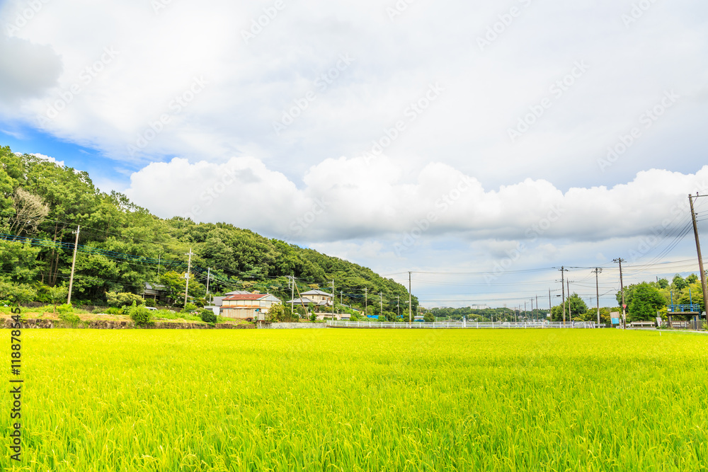 田園風景