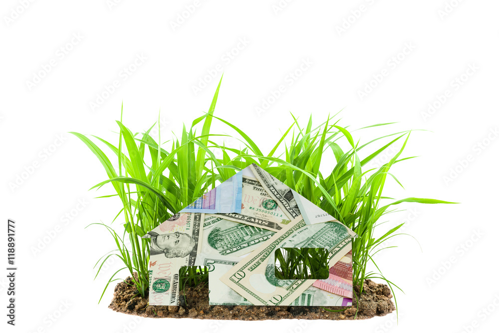 banknotes Euro and Dollars with house on Young green grass growi