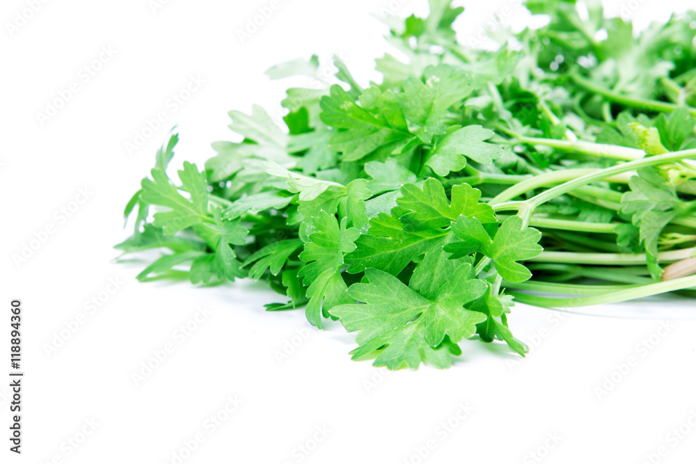 Fresh Green parsley on  white background