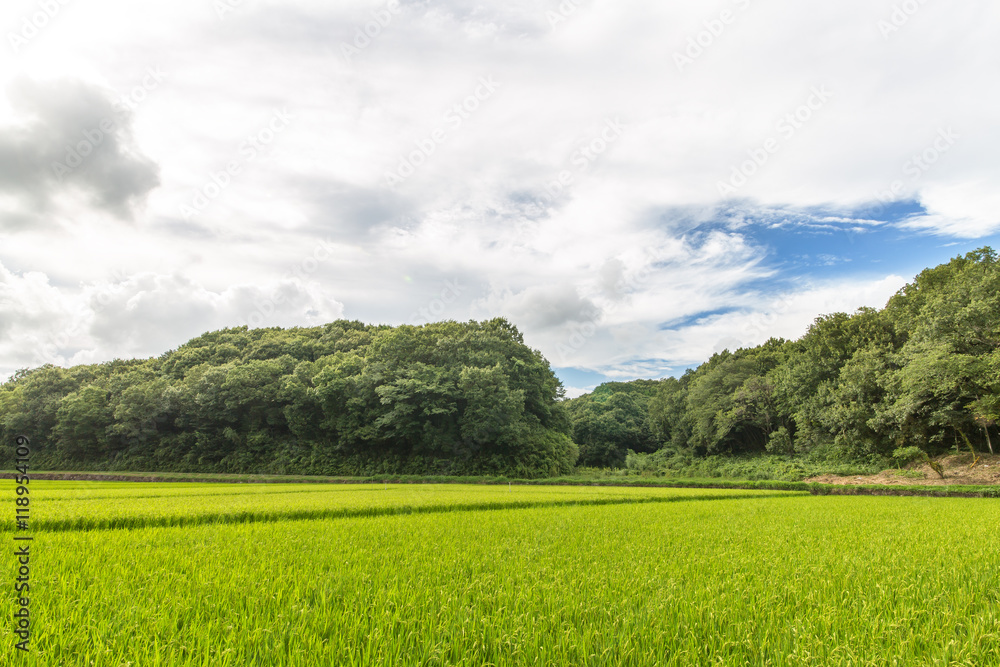 田園風景