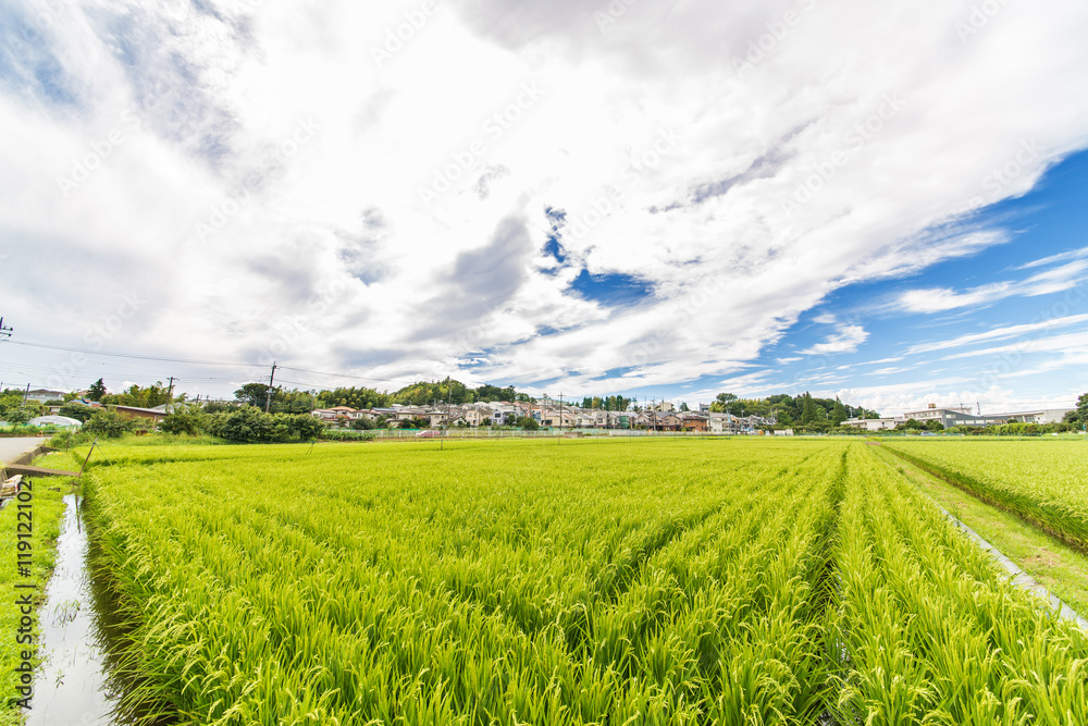 田園風景