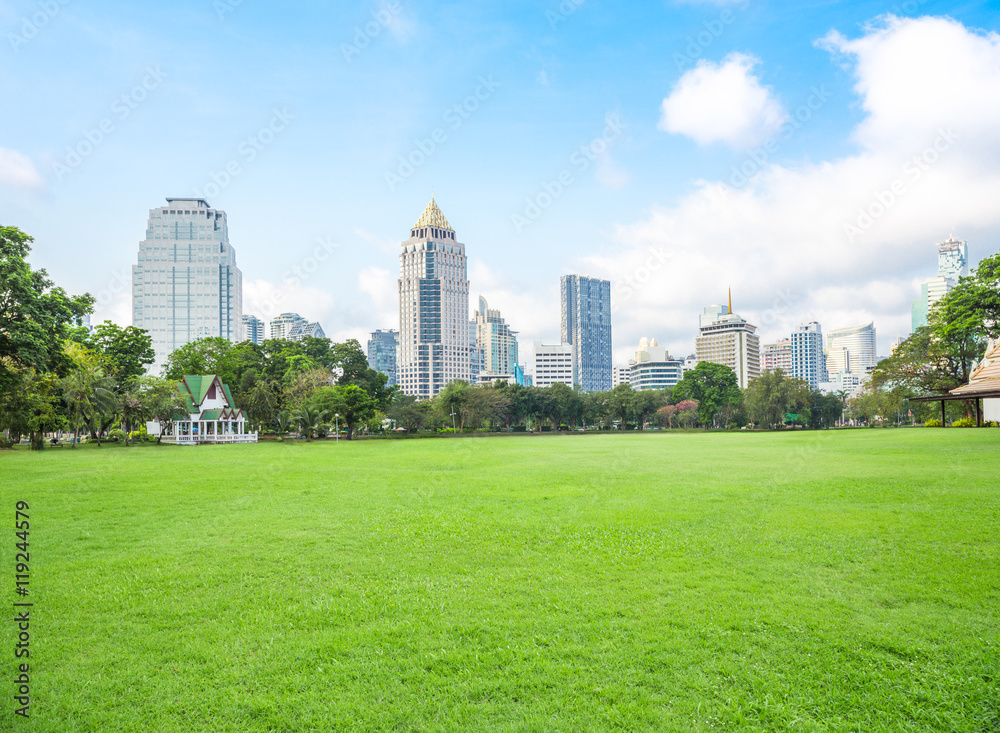 Green grass field in big city park