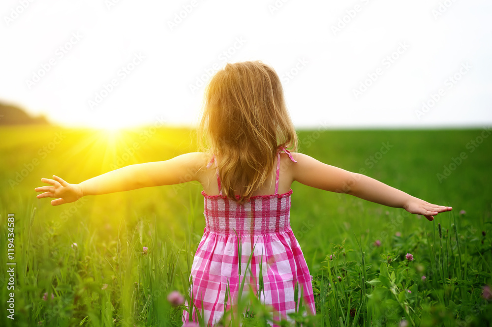  girl on the meadow