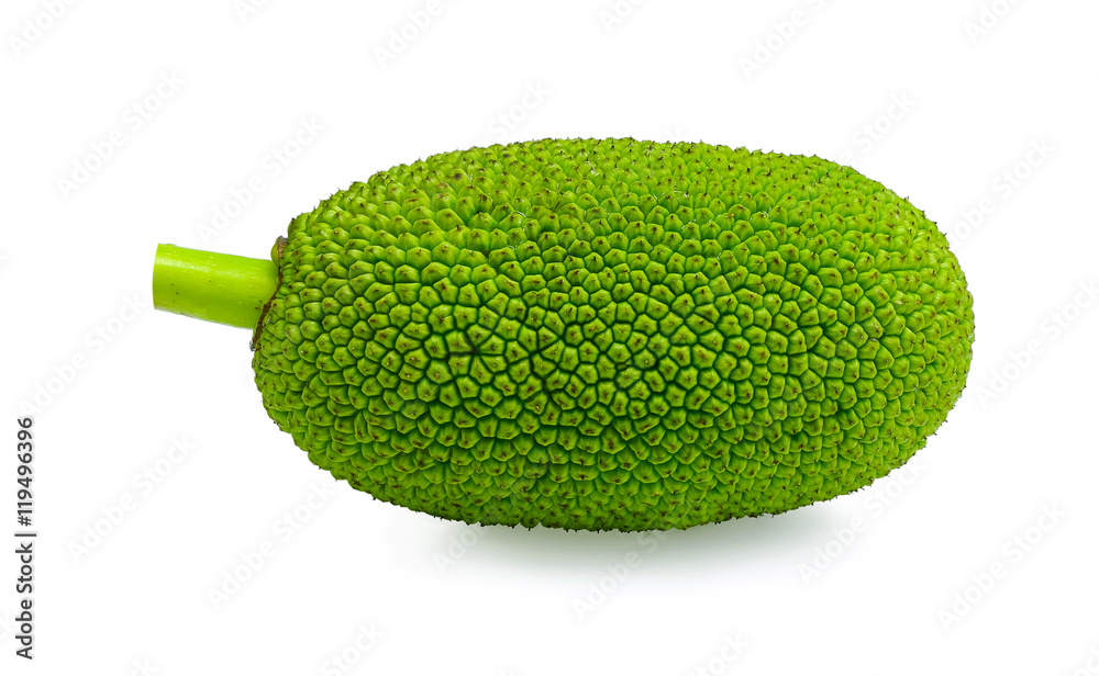 young jack fruit isolated on white background