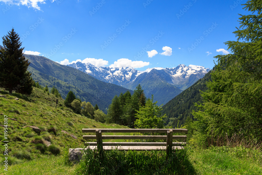 意大利阿达梅洛阿尔卑斯山脉的长椅和高山全景