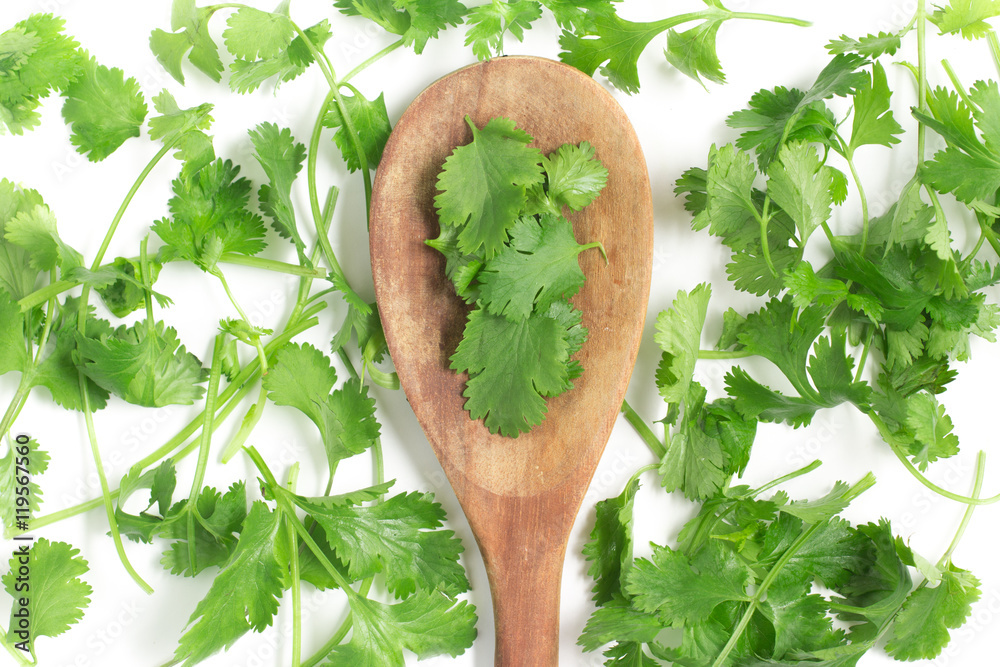 Fresh Coriander into a spoon