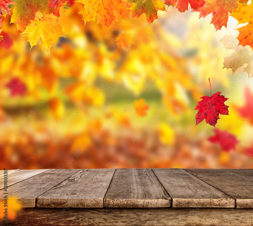 Autumn background with empty planks