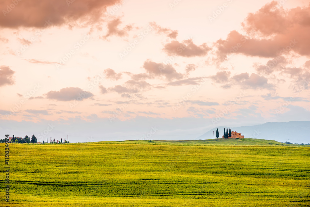 Beautiful tuscan landscape view in Val dOrcia region near Pienza town on the morning in Italy