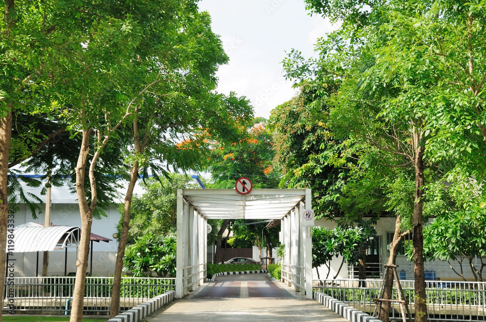 Iron tunnel bridge cross river with many trees