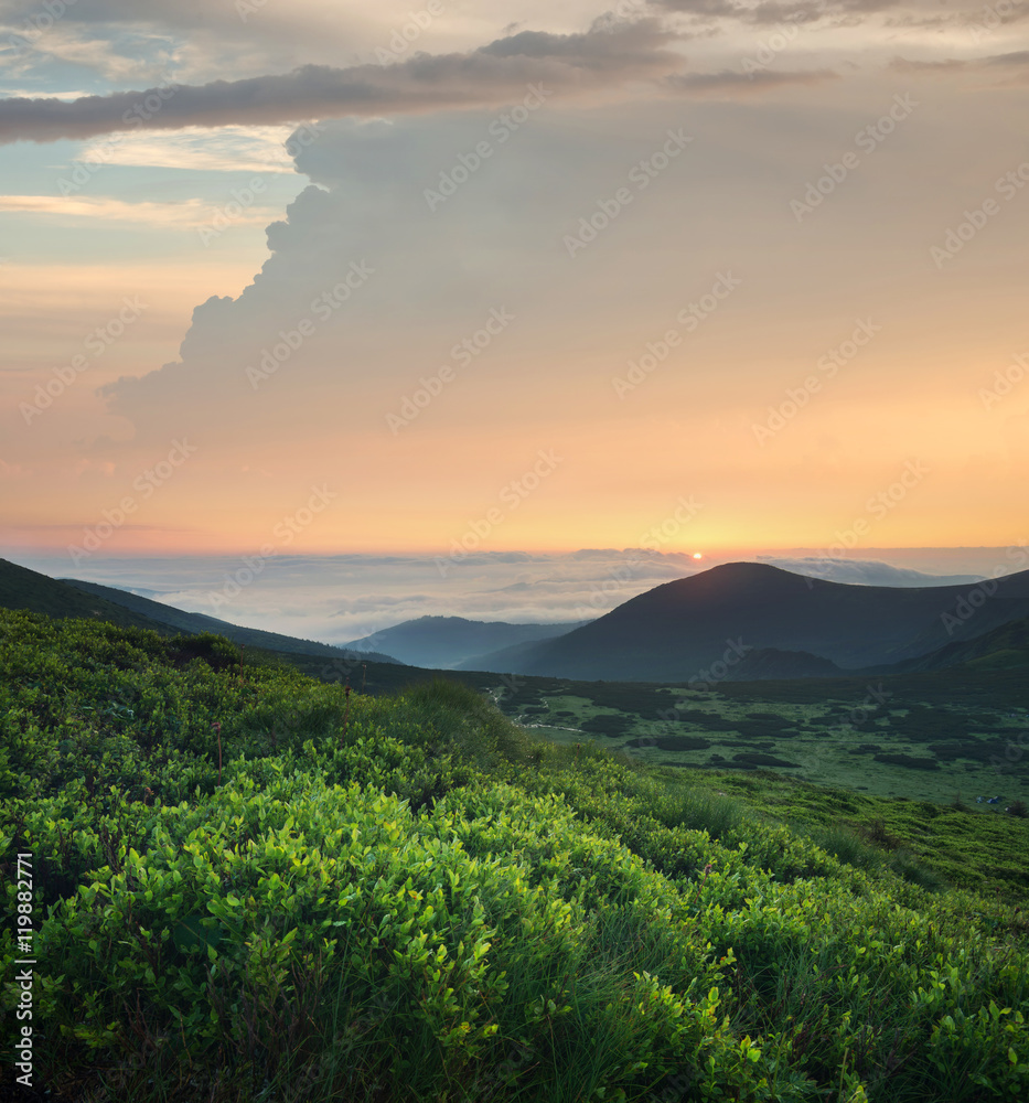 日出时山上的草地。夏天美丽的自然景观