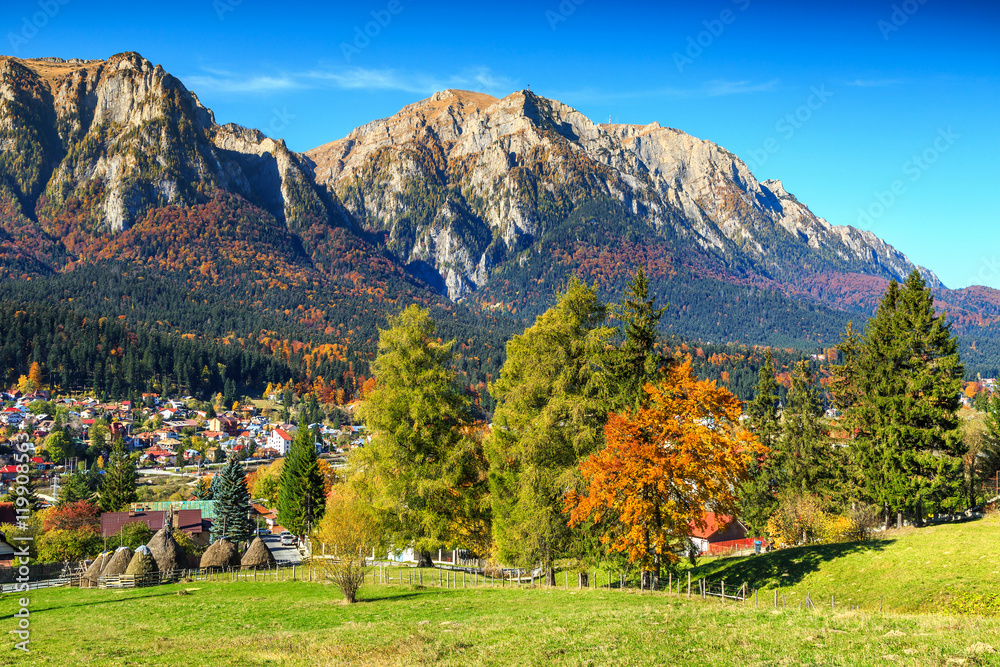 Wonderful green fields with colorful forest,Busteni,Transylvania,Romania,Europe