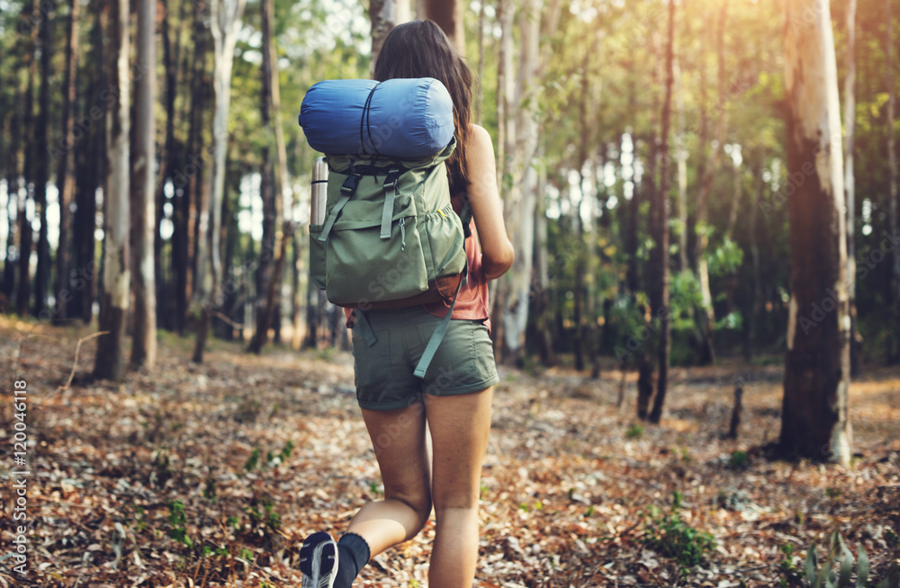 Wanderlust鸽子旅行家生活方式自然之旅概念