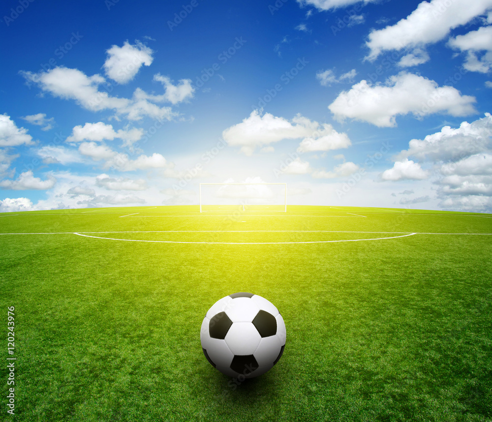 soccer ball on the grass