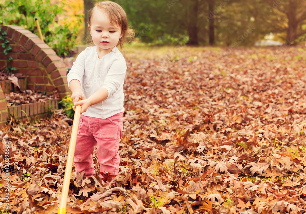 Toddler girl raking leaves