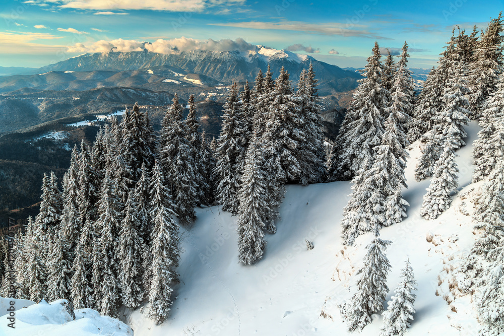 壮观的冬季雪景，波亚纳·布拉索夫，喀尔巴阡山，特兰西瓦尼亚，罗马尼亚，欧洲