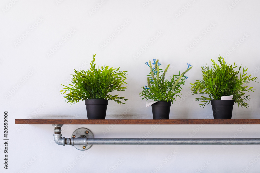 A small green plant on the wooden DIY shelf