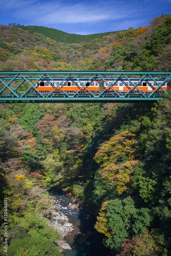 日本箱根市秋季铁路桥和火车的美丽山景