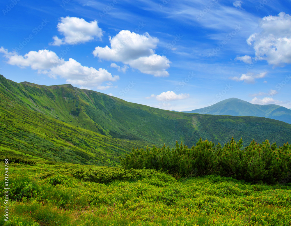 夏日山景