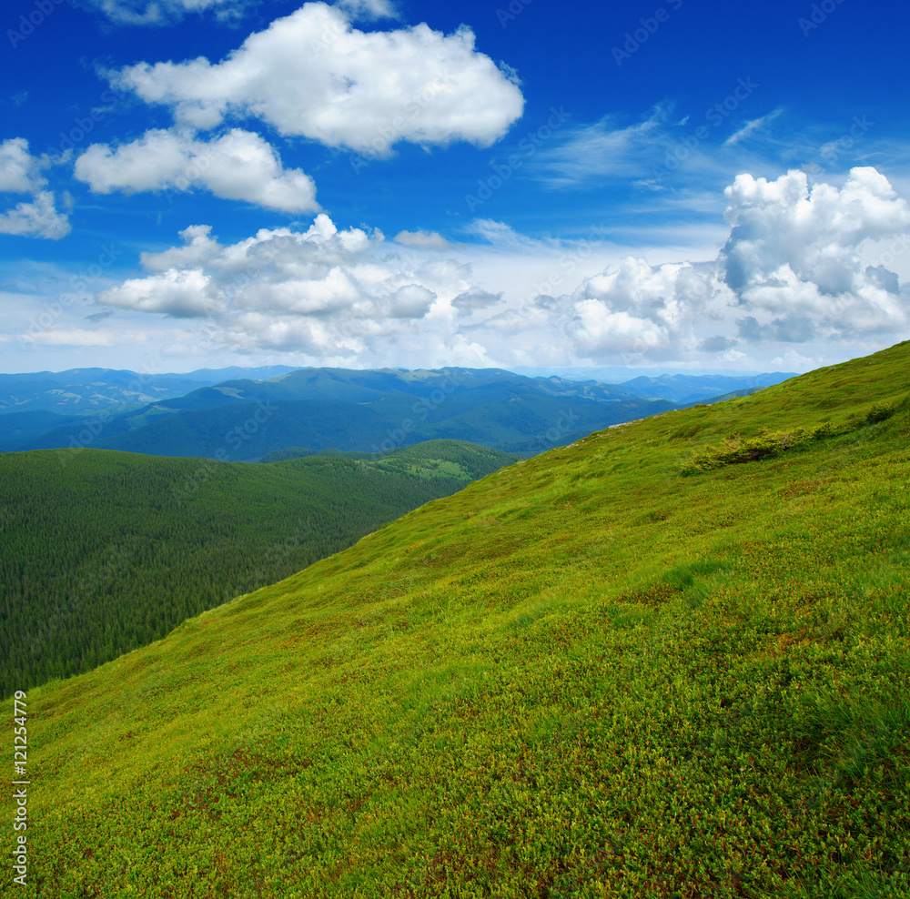 Mountain landscape in the summer