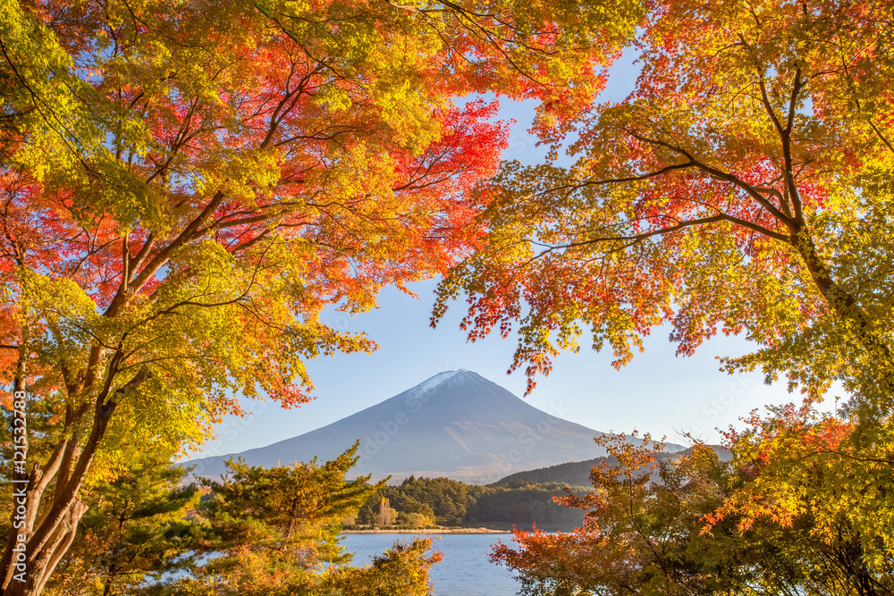 秋季河谷湖的秋树和富士山