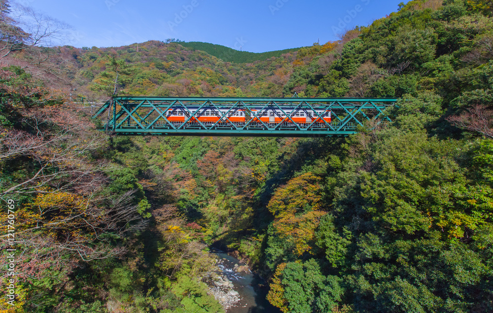 日本箱根市秋季铁路桥和火车的美丽山景