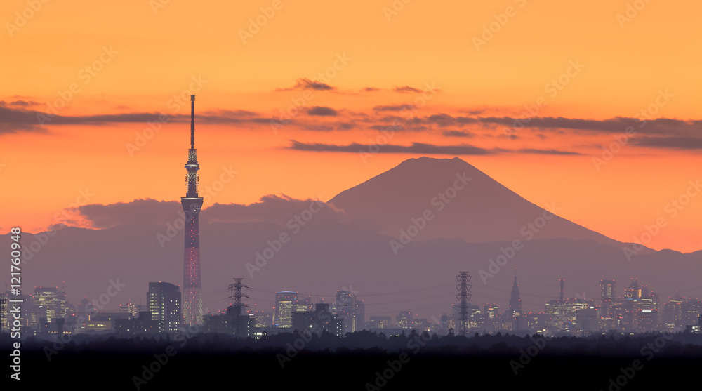 富士山和东京天树地标的东京夜景