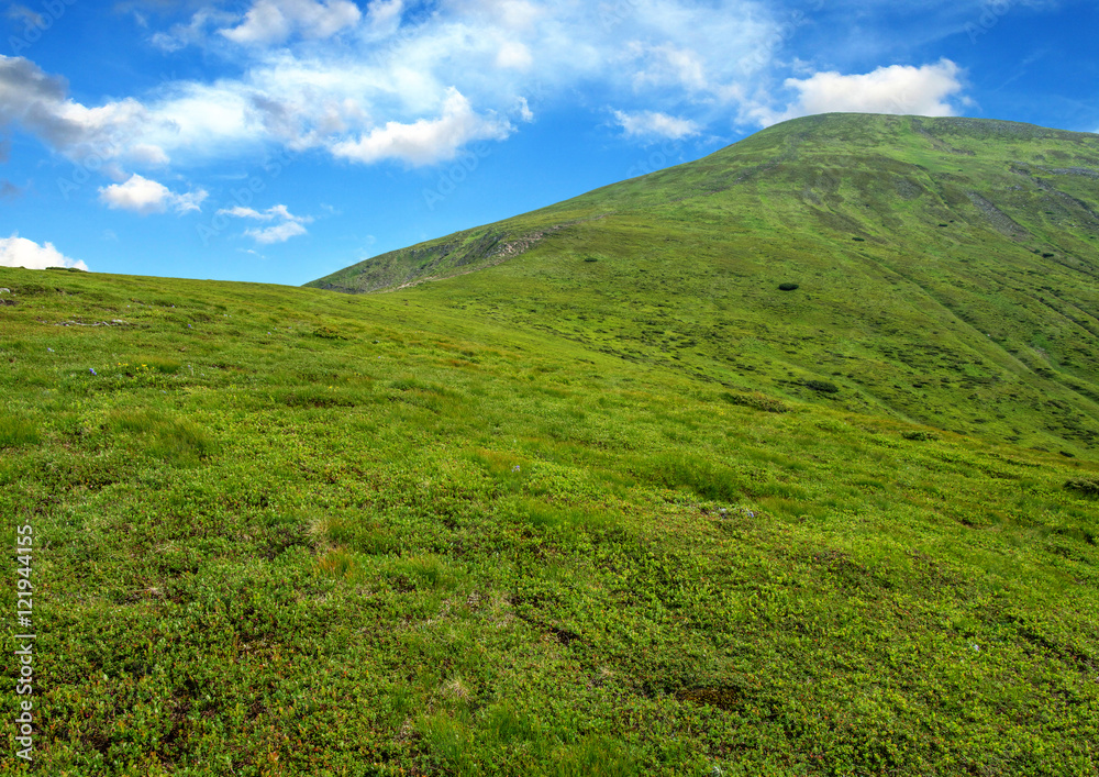 夏日山景