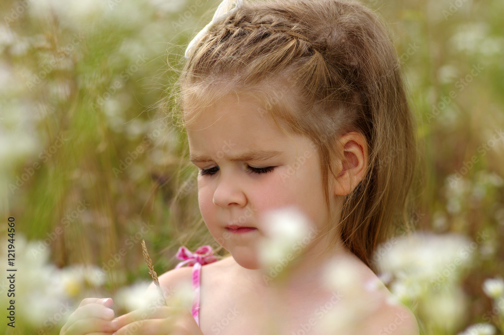  little girl on the meadow