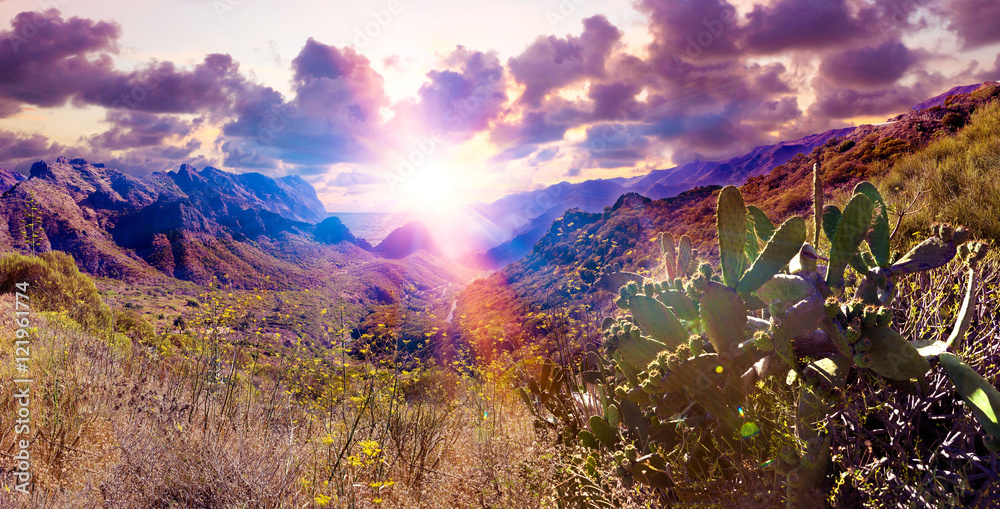 Paisaje pintoresco,montañas y puesta de sol.Tenerife,valle de Masca.Islas Canarias.España.Cactus y v