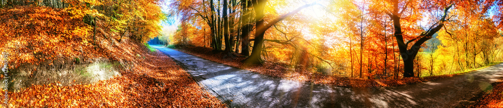 橙色乡村道路的全景秋季景观