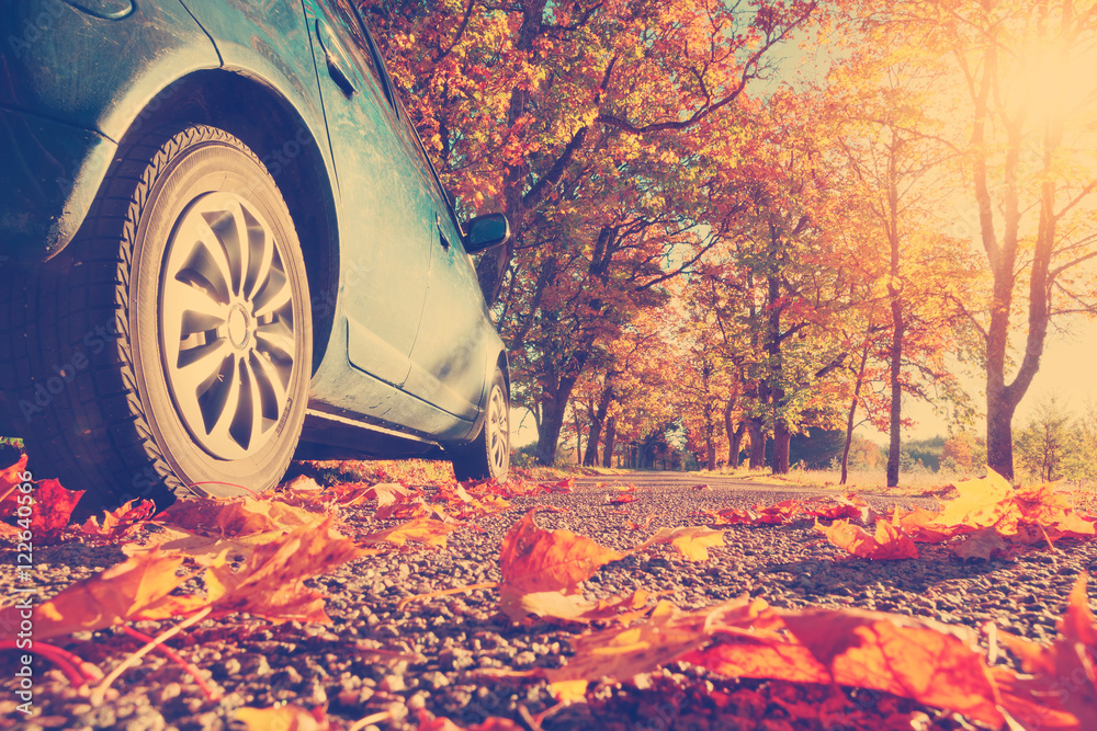 Car on asphalt road on autumnr day at park