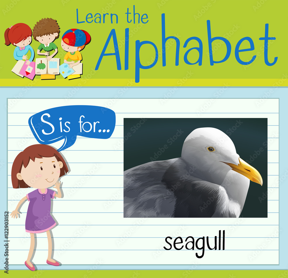 Flashcard letter S is for seagull