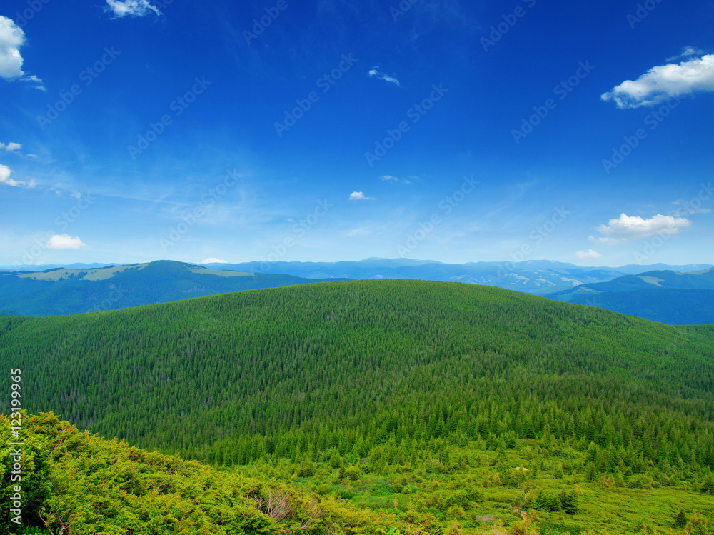 夏日山景