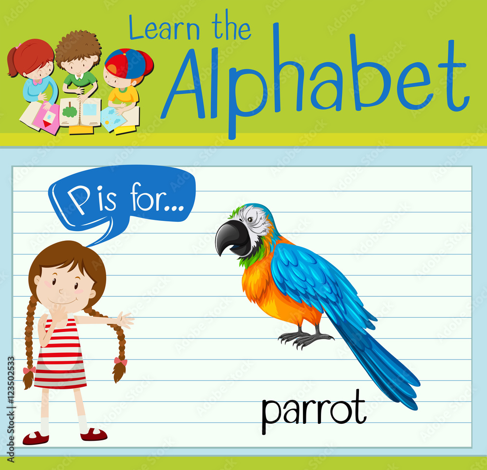 Flashcard letter P is for parrot