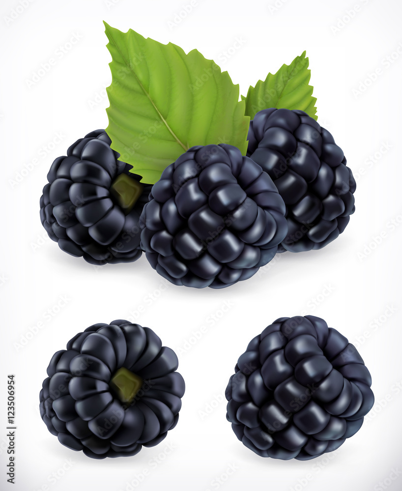 Blackberry. Sweet fruit. Forest berry. 3d vector icons set. Realistic illustration