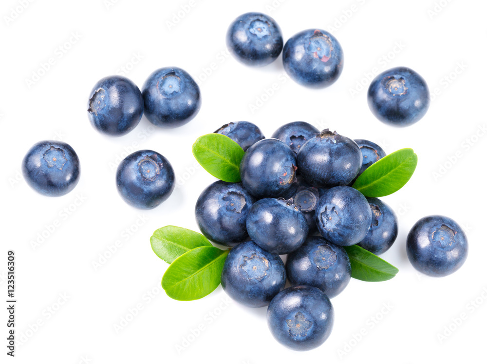 blueberries isolated on white