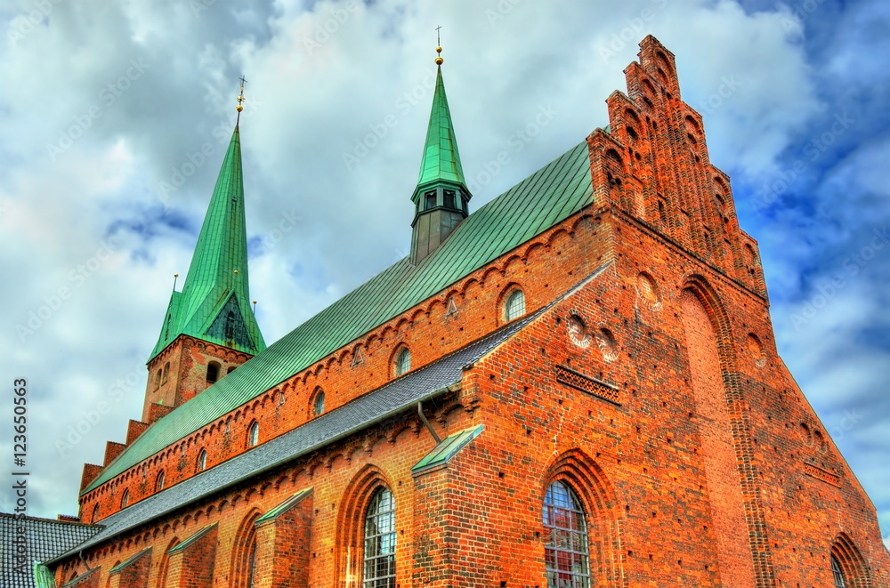 Saint Olaf cathedral in the old town of Helsingor - Denmark