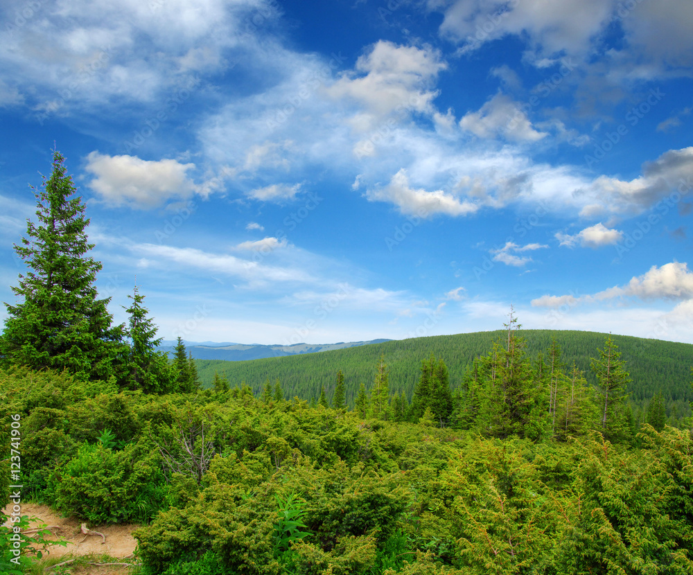 夏日山景