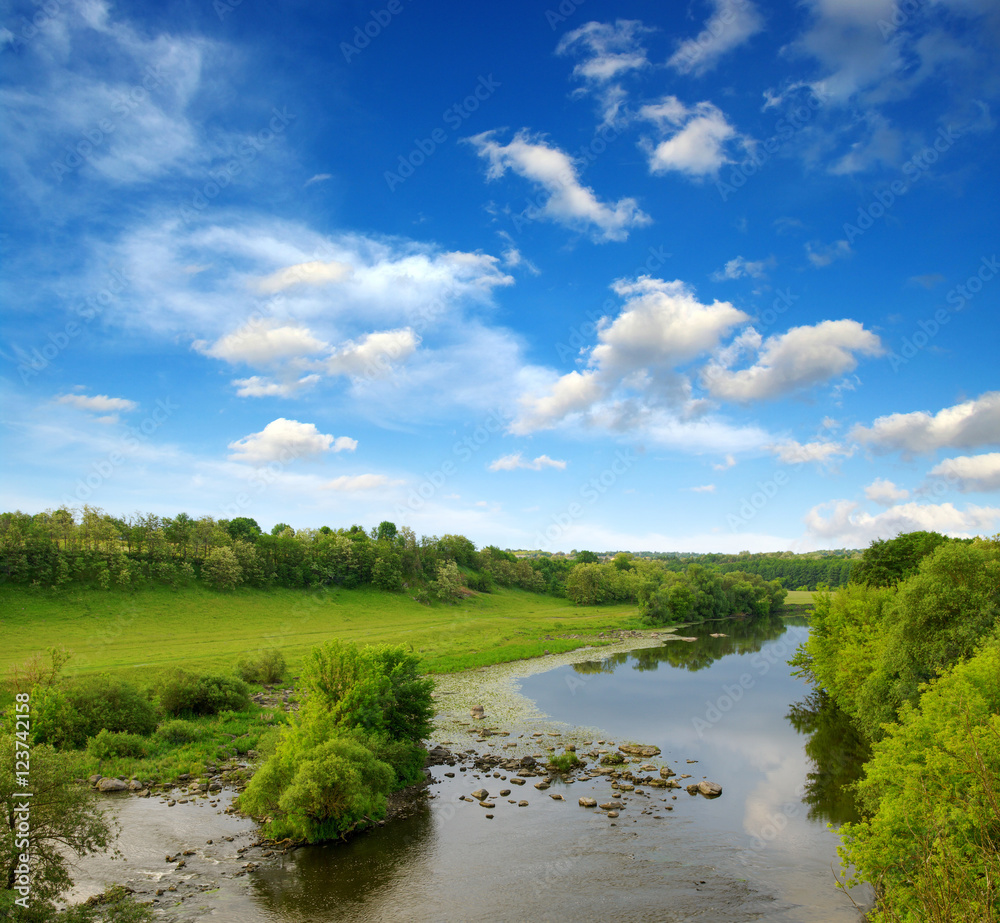  trees and a river