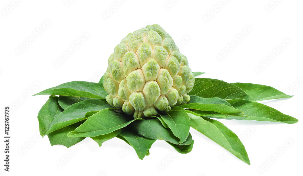 Green Sugar Apple and leaves isolated on white background